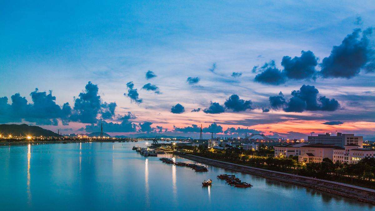 【要闻】粤港澳大湾区中医药湾区研讨会举办