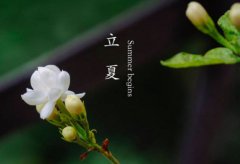 立夏养生要“专心”！这么做，轻松过夏天！