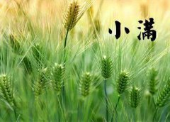 小满时节，这样养生让您的人生刚刚好~
