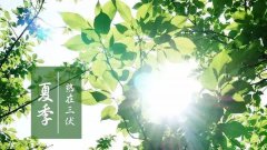 烈日骄阳，我们该如何养生~