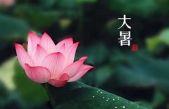 大暑时节，这样食粥很养生