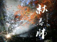 秋季养生需养肺，该如何养？