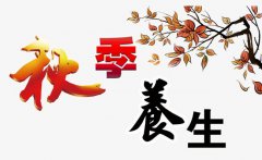 秋季养生4美食，不容错过~