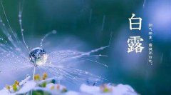 白露后养生4妙招，查收下您呐
