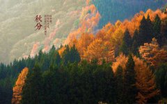 秋分到了， 养生要防好“四邪”