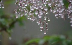 寒露之后，需谨防这六种疾病