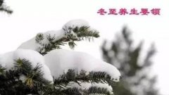 女性朋友冬至可以这样养生