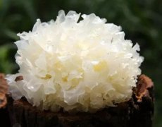 冬季想养肺，这10种食材较适宜