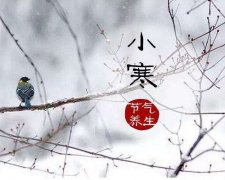 小寒养生，要抓住这些要点