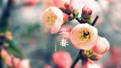 立春后，这样做可以提高免疫力预防感冒？