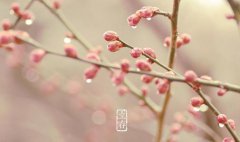 当心，立春后这四类疾病高发