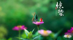 惊蛰将至，养生要点要收好