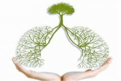 结核病防治核心信息及知识要点
